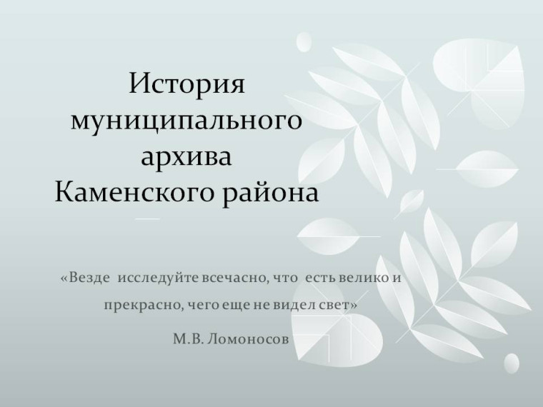 История муниципального архива Каменского района. История муниципального архива Каменского района.